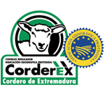 Corderex